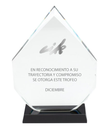 A75 Trofeo Galvano de Cristal Tear