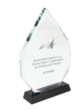 A75 Trofeo Galvano de Cristal Tear