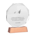 A98 Trofeo Galvano de Cristal RUNE con base cobrizada.